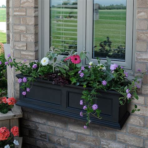 Buy Mayne B Fairfield Window Box Window Planter Boxes