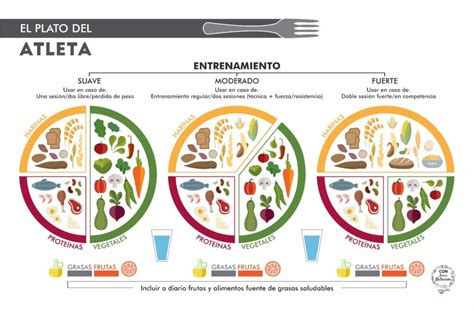 Cómo Deber Ser El Plato Del Deportista Según La Intensidad Del