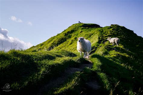 Kallur Lighthouse Hike on Kalsoy Island, Faroe Islands