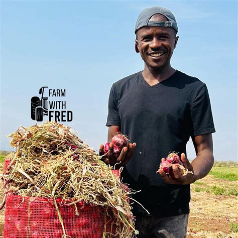 Farm - Your farm isn't failing because you have a small piece of land