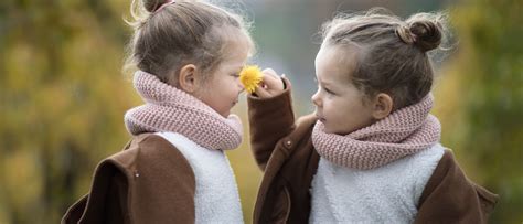 Hemmes mathematische Rätsel Zwillingsgeburten Spektrum der Wissenschaft