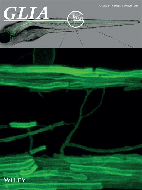 Glia | Neurobiology Journal | Wiley Online Library