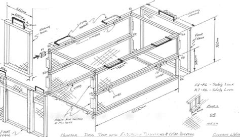 conceptual design   cage  scientific diagram