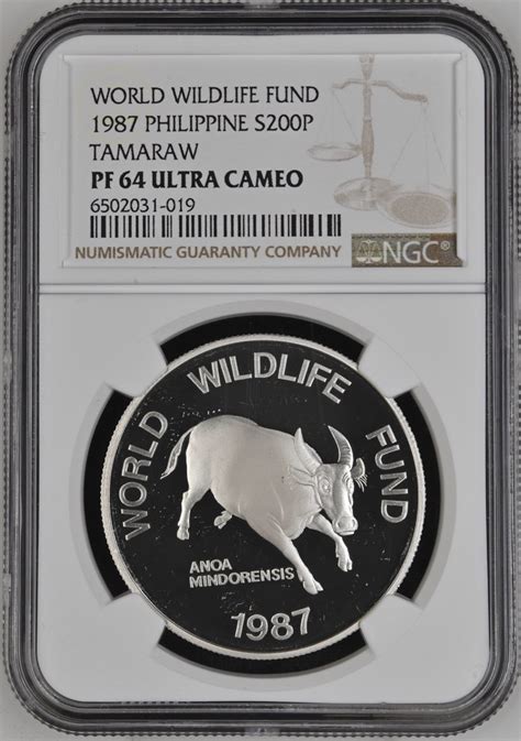 Philippine Peso Tamaraw Silver Coin Hobbies Toys Memorabilia