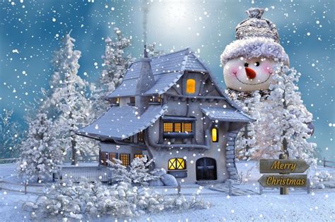 Idilcia Aracena on LinkedIn: Merry Christmas