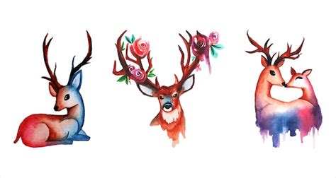 Premium Vector Watercolour Colorful Deer Sets Clipart