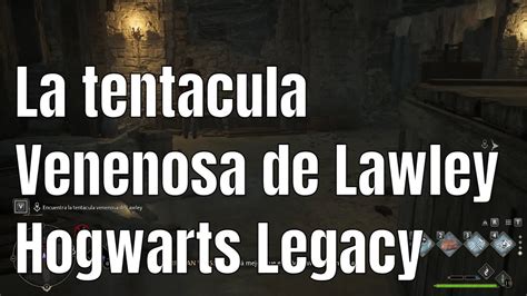 Encuentra La Tentacula Venenosa De Lawley Hogwarts Legacy YouTube