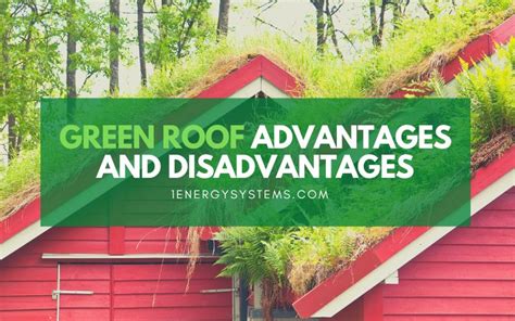 Green Roof Advantages And Disadvantages