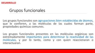 Clase Grupos Funcionales Pdf