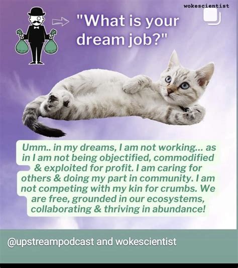 Non Platonic Elements To This Platform — Cuddle Comfort