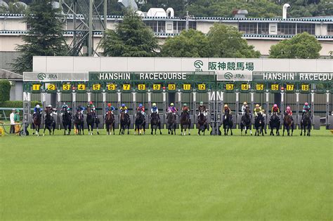 第62回 宝塚記念 レース情報｜gⅠ特集｜競馬予想・競馬情報ならjra Van