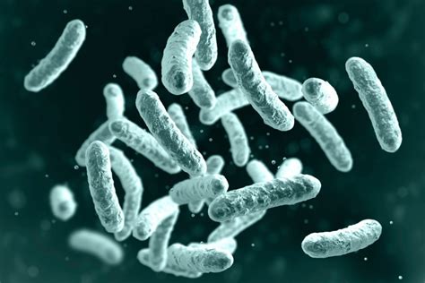 Genomic Characterization Of Shewanella Oneidensis To Replace Harsh