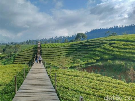 8 Tempat Wisata Di Puncak Bogor Yang Seru Dan Asyik