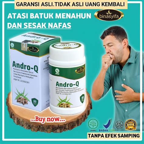 Jual Obat Batuk Herbal Alami Andro Q Melegakan Pernapasan Original Bpom