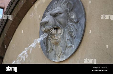 Lions Head Water Feature Stock Videos And Footage Hd And 4k Video Clips