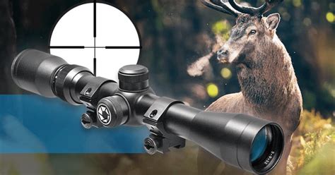 8 Best Barska Rifle Scopes: Top Picks for Long-Range Shooting - Basis Gear