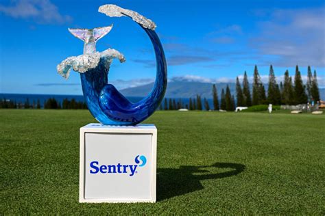 Heres The Prize Money Payout For Each Golfer At The 2024 Sentry