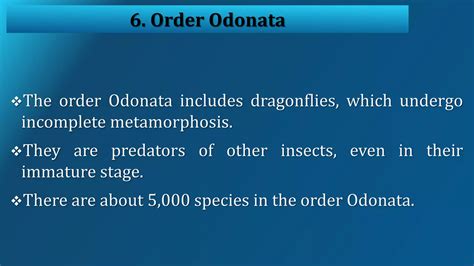 Insects classification | PPT