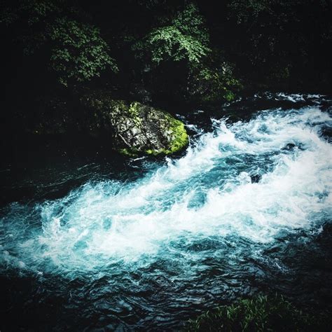 Premium Photo High Angle View Of River Flowing In Forest