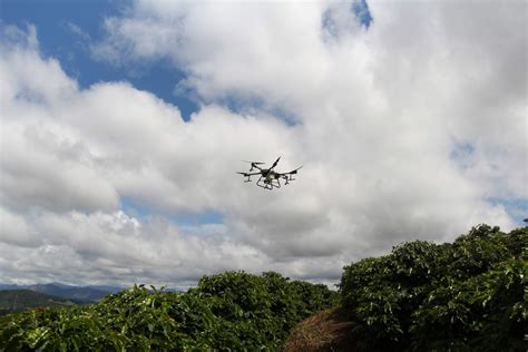 Portal Caparaó Dia de Campo reuniu cerca de 300 produtores em Santa