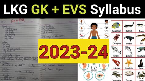 Lkg Gk Evs Syllabus Lkg Evs Lkg Gk Syllabus Lkg Cbse