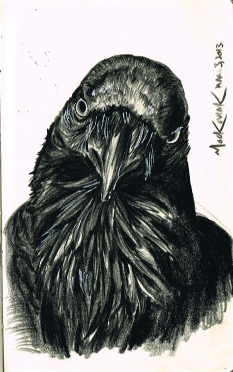 Raven sketch by NickMockoviak on DeviantArt