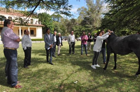 Sarquís Participó De Mesa Equina Para La Simplificación De Trámites Y