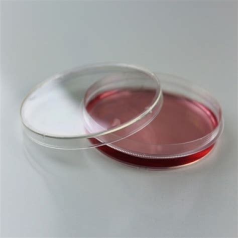 100 Mm Cell Culture Dish Treated Sterile 10 Units