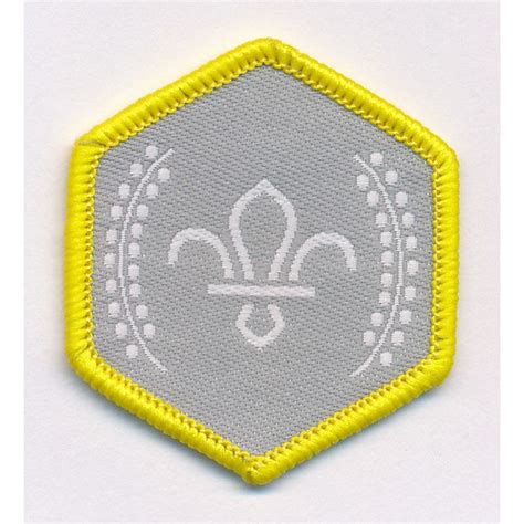 Cub Scout Chief Scouts Silver Award Badge Leaders