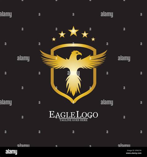 Golden Eagle With Shield Logo Design Stock Vector Image Art Alamy