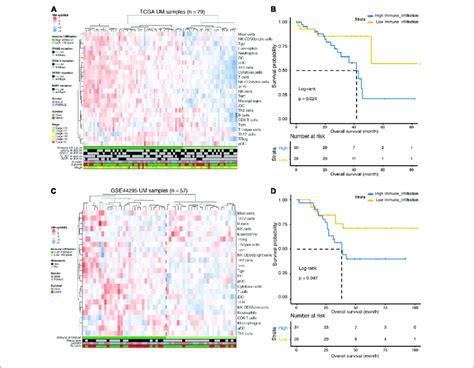 Immune Landscape Of Uveal Melanoma Um A Unsupervised Clustering