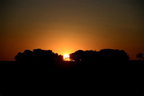 Free Images : landscape, tree, nature, horizon, silhouette, cloud, sun, sunrise, sunset ...