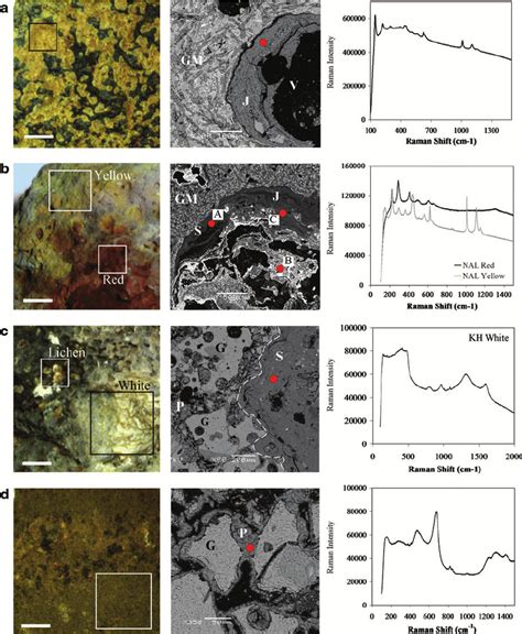 Multispectral Rgb Composite Image Scale Bar Cm Bse Image And