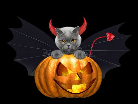 Cute Halloween Cat In Bat Devil Costume With Broom - Isolated On Black Stock Illustration ...