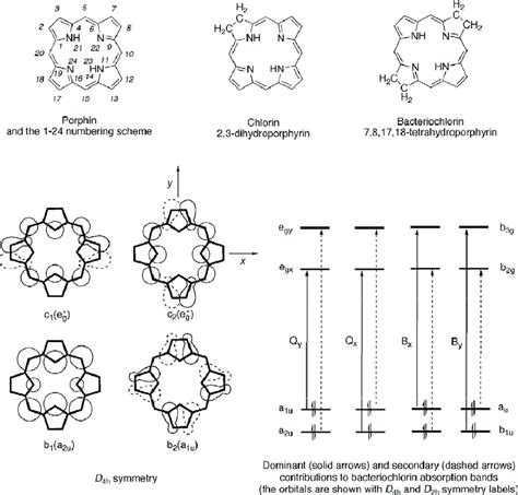 Fundamental Porphyrin Systems With Numbering Scheme Pictorial