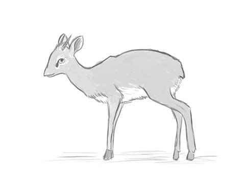 Guess Zoo by JamDonuts