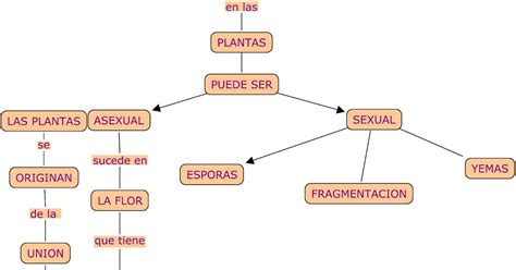 Reproduccion En Las Plantas Mapa Conceptual