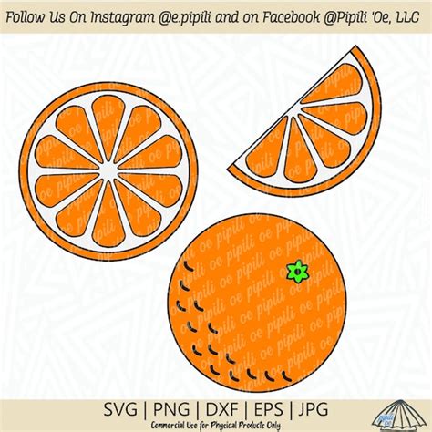 Orange Slice And Wedge Svg Orange Fruit Svg Citrus Fruit Etsy