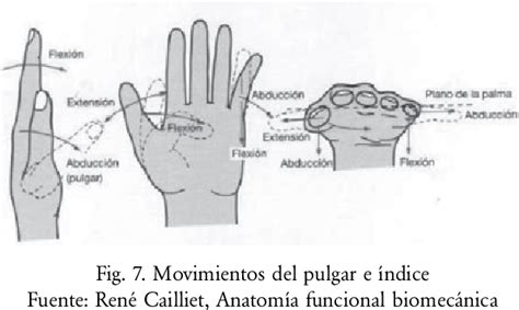 Figure From Dise O Y Construcci N De Una Mano Rob Tica Para La