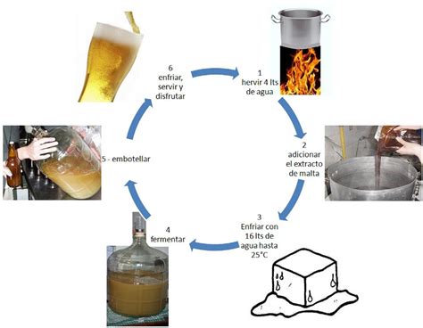 La Cerveza Y Su Elaboraci N Noviembre