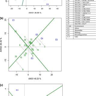 stability view   genotypic main effects