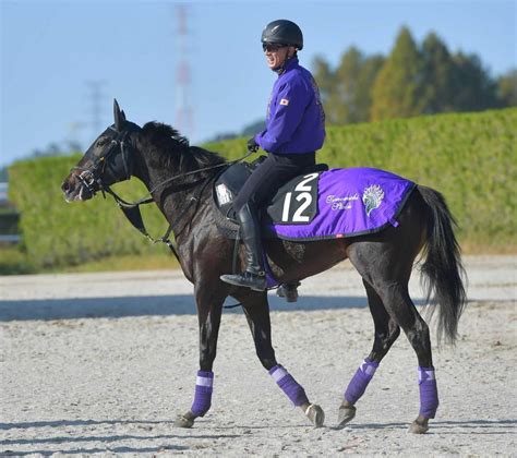 【pog】良血オヌール、全姉デゼルのデビュー前より好ムード競馬・レースデイリースポーツ Online