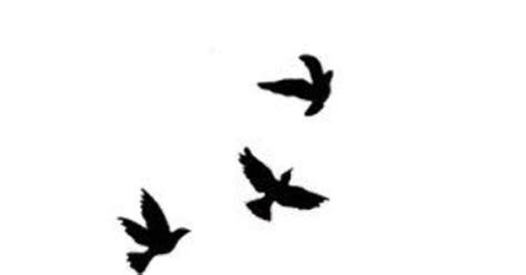 Three Flying Birds Silhouette