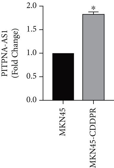 Pitpna As Mir P Regulated By H K Ac Influenced The Effect Of