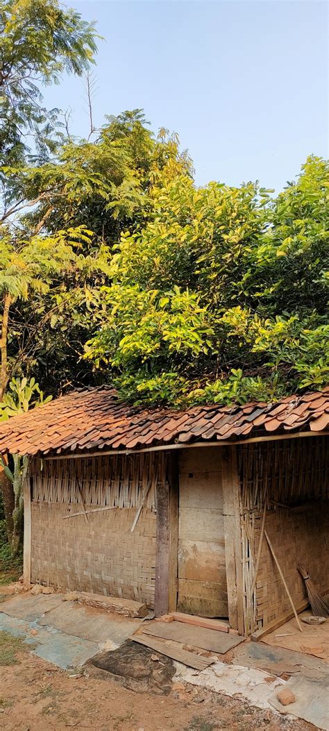 Rumah Gubuk | Rumah, Rumah kecil, Jalan tapak taman