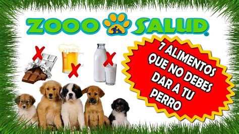 7 Alimentos Que No Debes Darle A Tu Perro Youtube