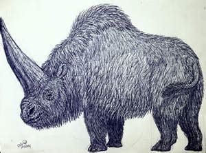 Explore best elasmotherium art on DeviantArt