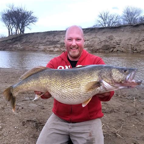 New North Dakota State Record Walleye Caught Walleyefirst