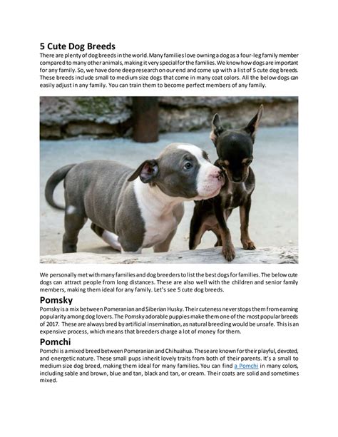 5 Cute Dog Breedsdocx
