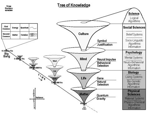 Visionaries: Consciousness Evolution